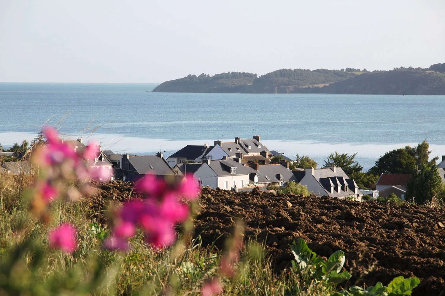 5 Avantages de louer une maison à Langueux